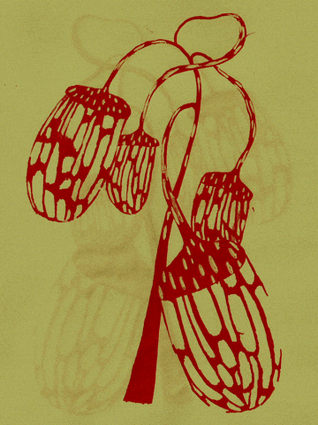 Animation GIF