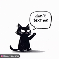 Black Cat No GIF