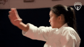 Karate Arc GIF by All-Round Champion