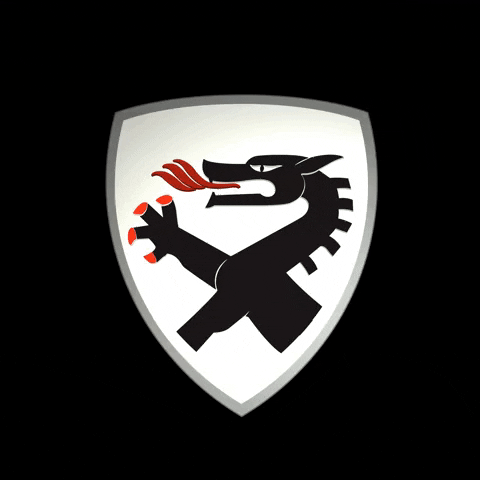 Motoren Technik Mayer | MTM GIF