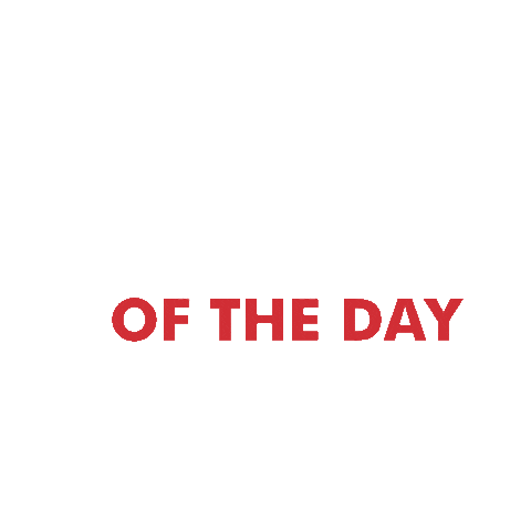 Affirmation Of The Day Sticker by BishCollective