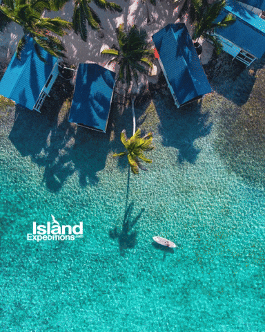 Belize Tobacco Caye GIF by Island Expeditions