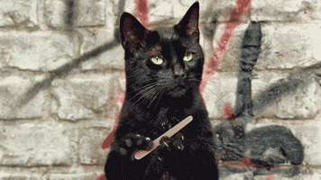 Video gif. In front of a gray brick wall with red and black graffiti, an unimpressed-looking black cat files its nails.