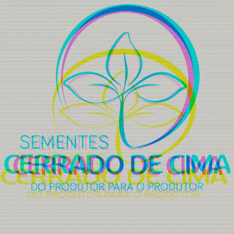 cerradodecima GIF