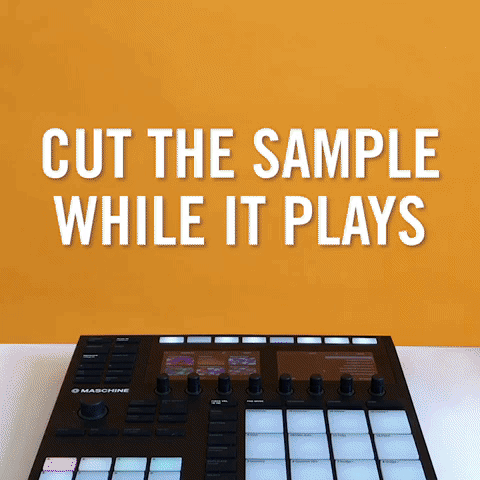 Maschine GIF by Native Instruments