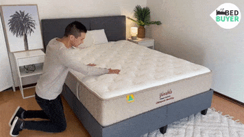 Bedbuyer mattress bedbuyer yinahla GIF