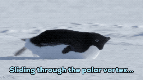 Snow Freezing GIF - Find & Share on GIPHY