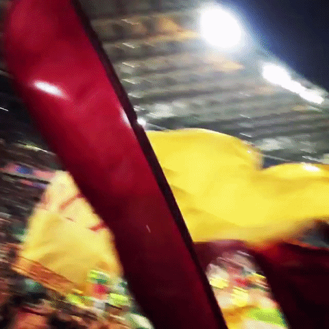curva sud support GIF by AS Roma
