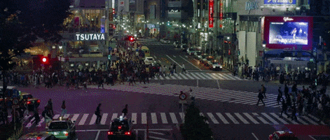 Movie Japan GIF by 1091
