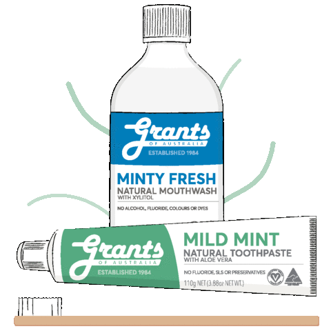 Mint Toothpaste Sticker by DrSquatchSoapCo for iOS & Android