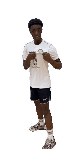 Handball Sticker