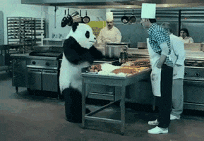 panda cooking GIF