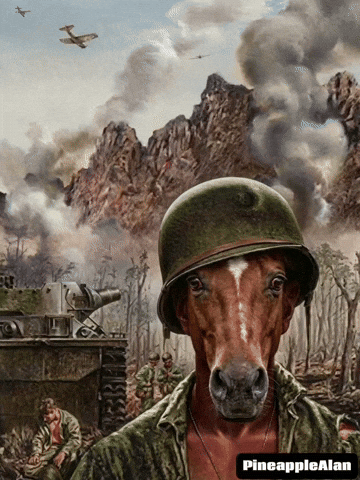 Horse Wwii GIF