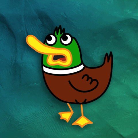 Happy Fun GIF by Lucky Ducky