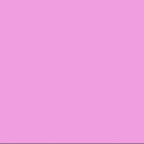 Love You Kiss GIF by CoinGecko