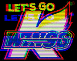 Pro Hockey GIF by KalamazooWings