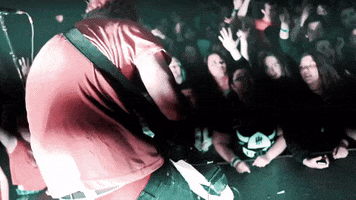 lost in translation rock GIF by New Politics