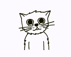 Cat GIF