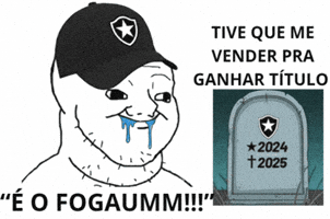 Libertadores Saf GIF