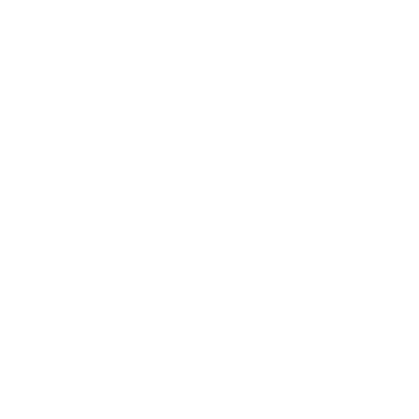 SC Department of Revenue Sticker