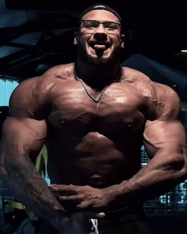 Alaf GIF