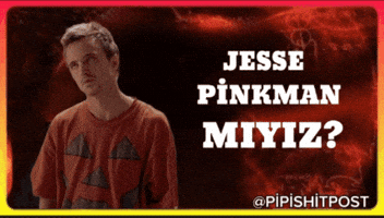 Breaking Bad Evrim GIF