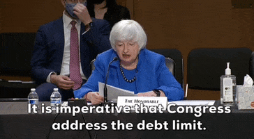 Janet Yellen Treasury GIF by GIPHY News