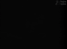 Melville Frenchcinema GIF