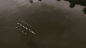 200.gif?cid=fc005b08cbbf34874fd8f69f2bd324825e66efda3f58b072&rid=200.gif&ct=g
