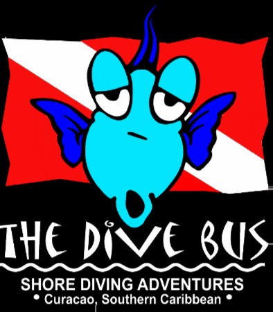 Scuba Diving Padi GIF by The Dive Bus, Curacao