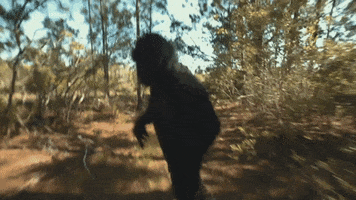 merge records run GIF by Spider Bags