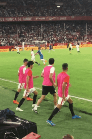 la liga soccer GIF by Sevilla Fútbol Club