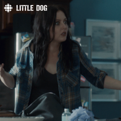 little dog shrug GIF by CBC