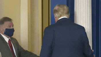 Donald Trump GIF by GIPHY News