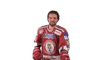 Celebrating Ev Landshut Sticker by EVL Spielbetrieb GmbH