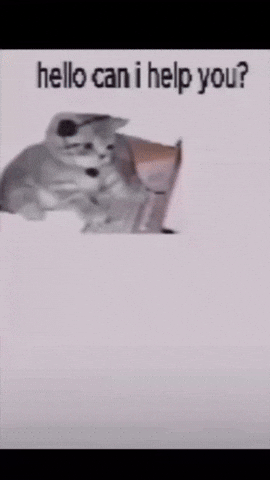 How Can I Help You Jtj GIF