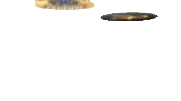 Policia Federal Concurso Sticker by ENAPOL - Escola Nacional de Polícia