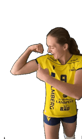 Schwerinersc Sticker by SSCPalmbergSchwerin