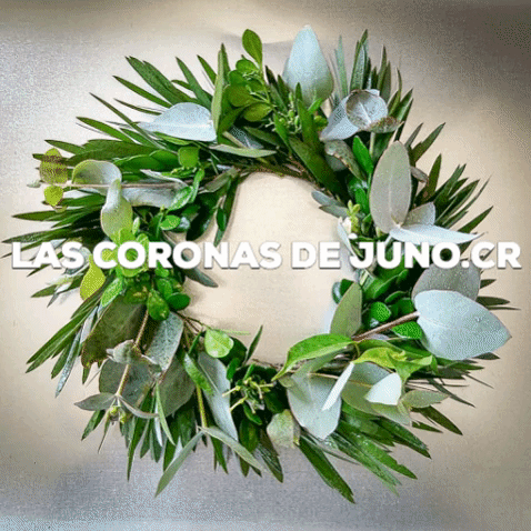 Greenerywreath Coronaverde GIF