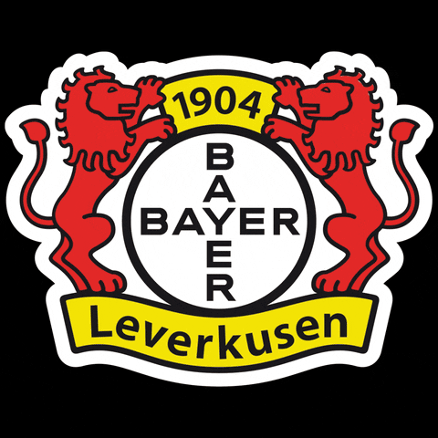 Bayer 04 Win GIF by Bayer 04 Leverkusen