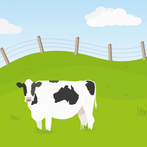 Cow-farts GIFs - Get the best GIF on GIPHY