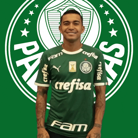celebrating tiro o chapeu GIF by SE Palmeiras