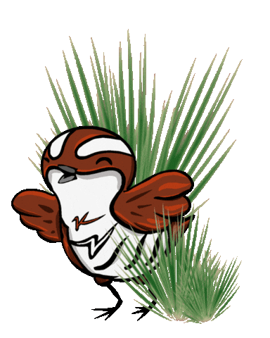 Guam Koko Sticker by King and Rail