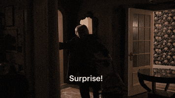Party Surprise GIF by HULU