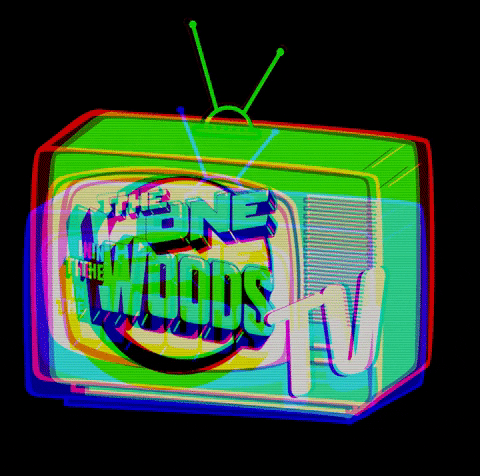 Theoneinthewoods GIF by TheOnePromotions