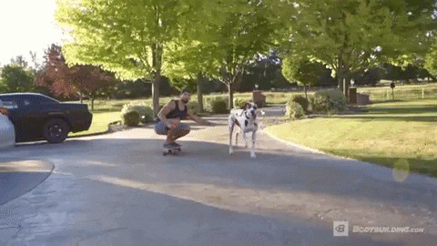 Skating Julian Smith GIF by Bodybuilding.com - Find & Share on GIPHY
