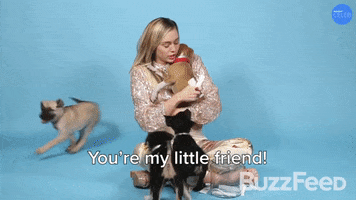 Miley Cyrus Dogs GIF by BuzzFeed