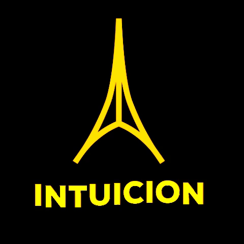 Lingerie Intuicion GIF