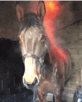200.gif?cid=fc005b084cfccaf8ccc8fcda1ae6a3ad4d096bdbd9806755&rid=200.gif&ct=g