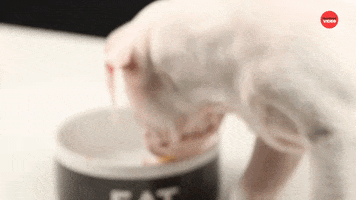 Peanut Butter Dog GIF by BuzzFeed